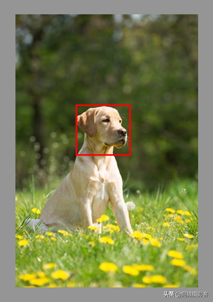 拍照对焦的基本知识,拍图片对焦方法是什么原理