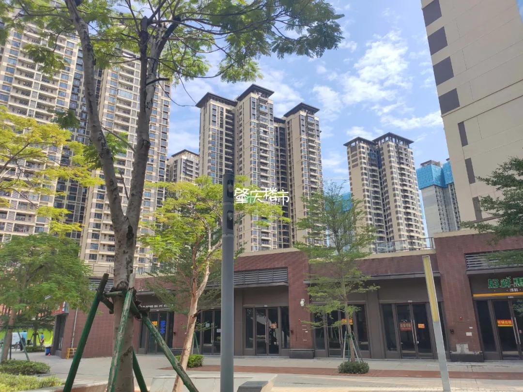 肇庆房屋维权,肇庆业主维权