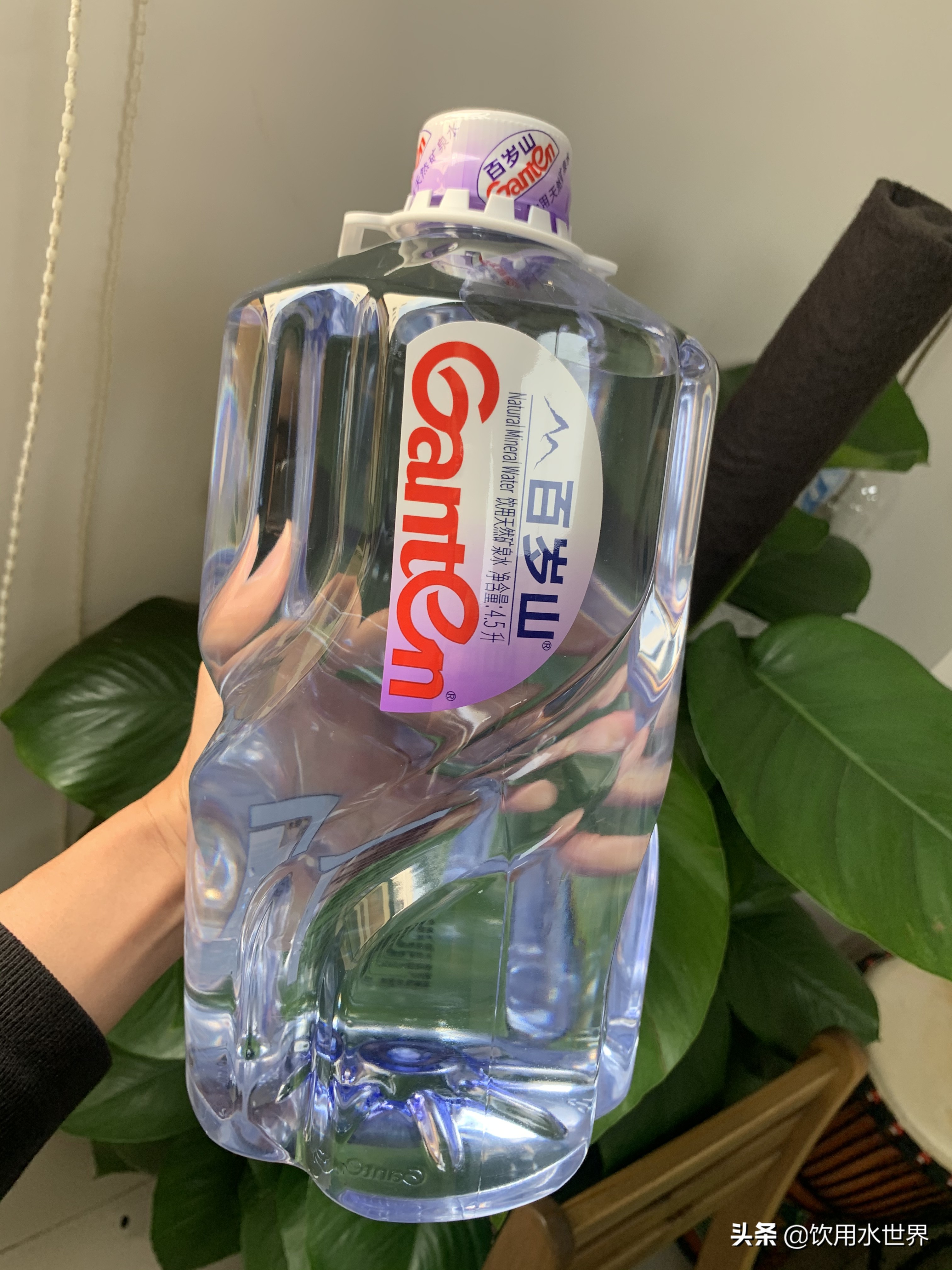 百岁山矿泉水多少钱一瓶零售价,百岁山矿泉水为什么叫做百岁山