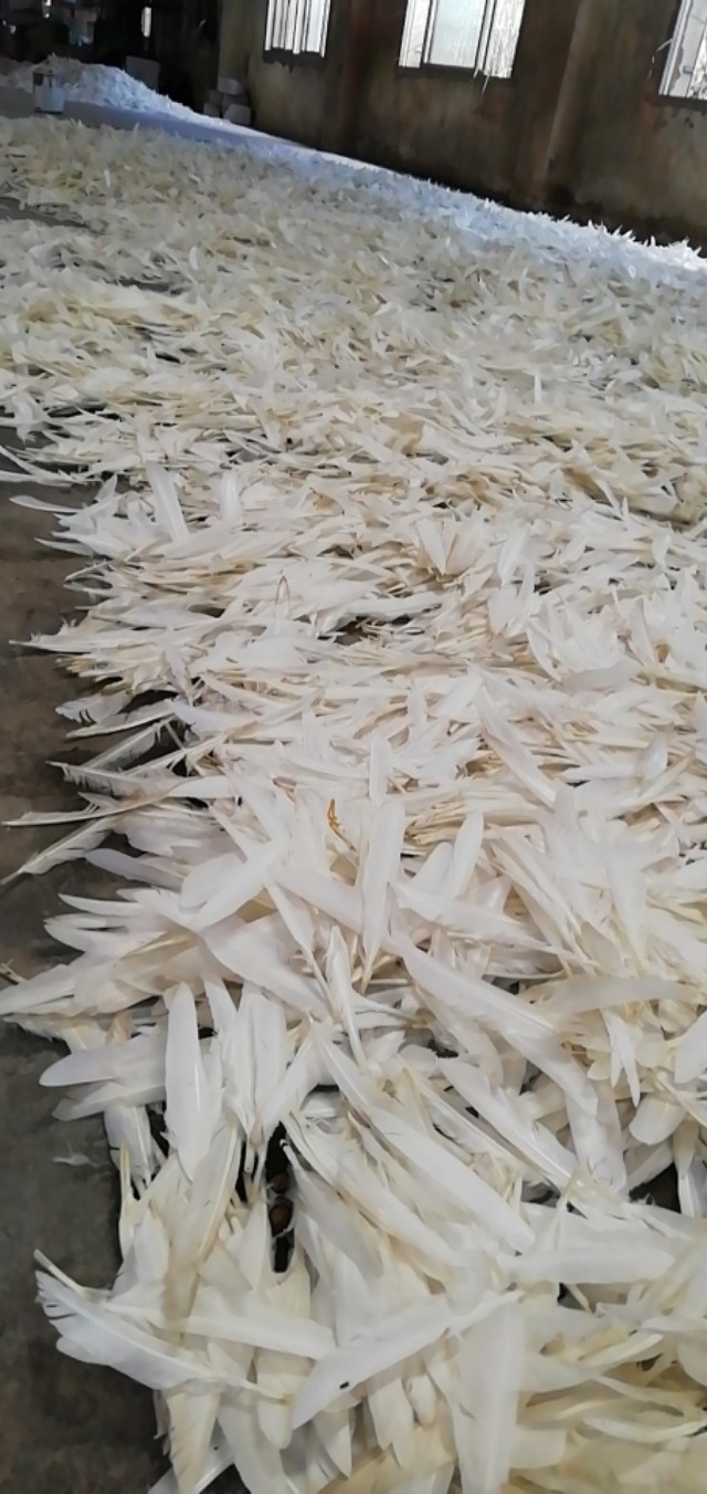 和yy05同档次的球,市面上对标yy05的球