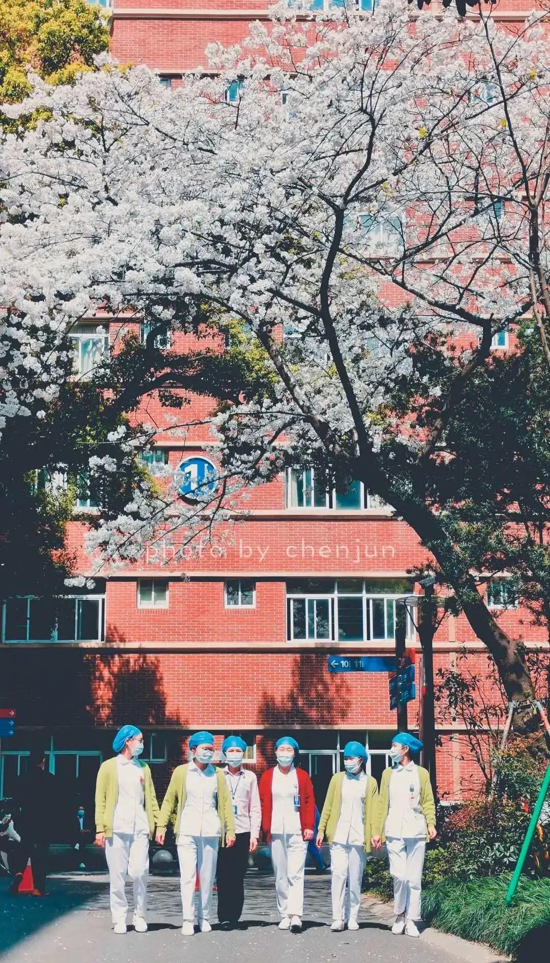 广济一周｜智齿或许可修复缺失牙！|阿尔兹海默症！|名医专家直播