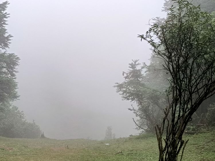 大美武隆仙女山,畅游重庆武隆区仙女山