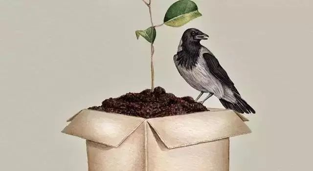 如何做好微信公众号排版运营,微信公众号内容编辑及推广