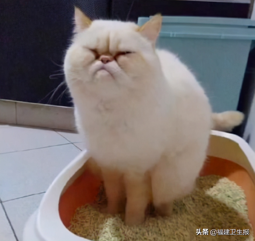 便秘小伙用塑料管通便致肠穿孔,便秘多年未治愈8旬大爷拿刀插腹