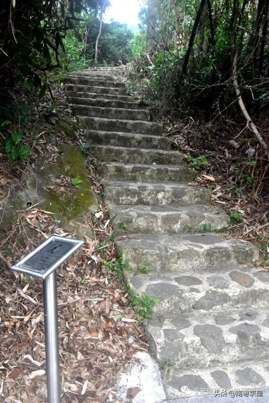 东澳岛海鲜旅游攻略,东澳岛最值得去的地方