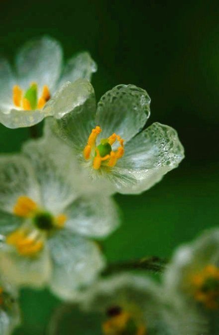 20岁才恍然大悟要自己爱自己,二十岁应该要学会爱自己