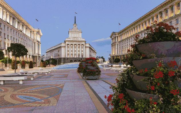 保加利亚经典玫瑰,保加利亚玫瑰什么样