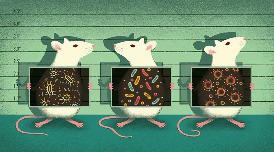 成人大脑神经元视频,人体大脑神经元有多少