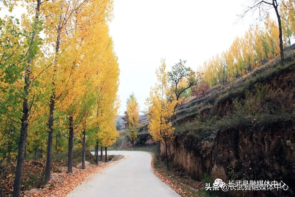 大美长武全部视频,把大好河山收藏