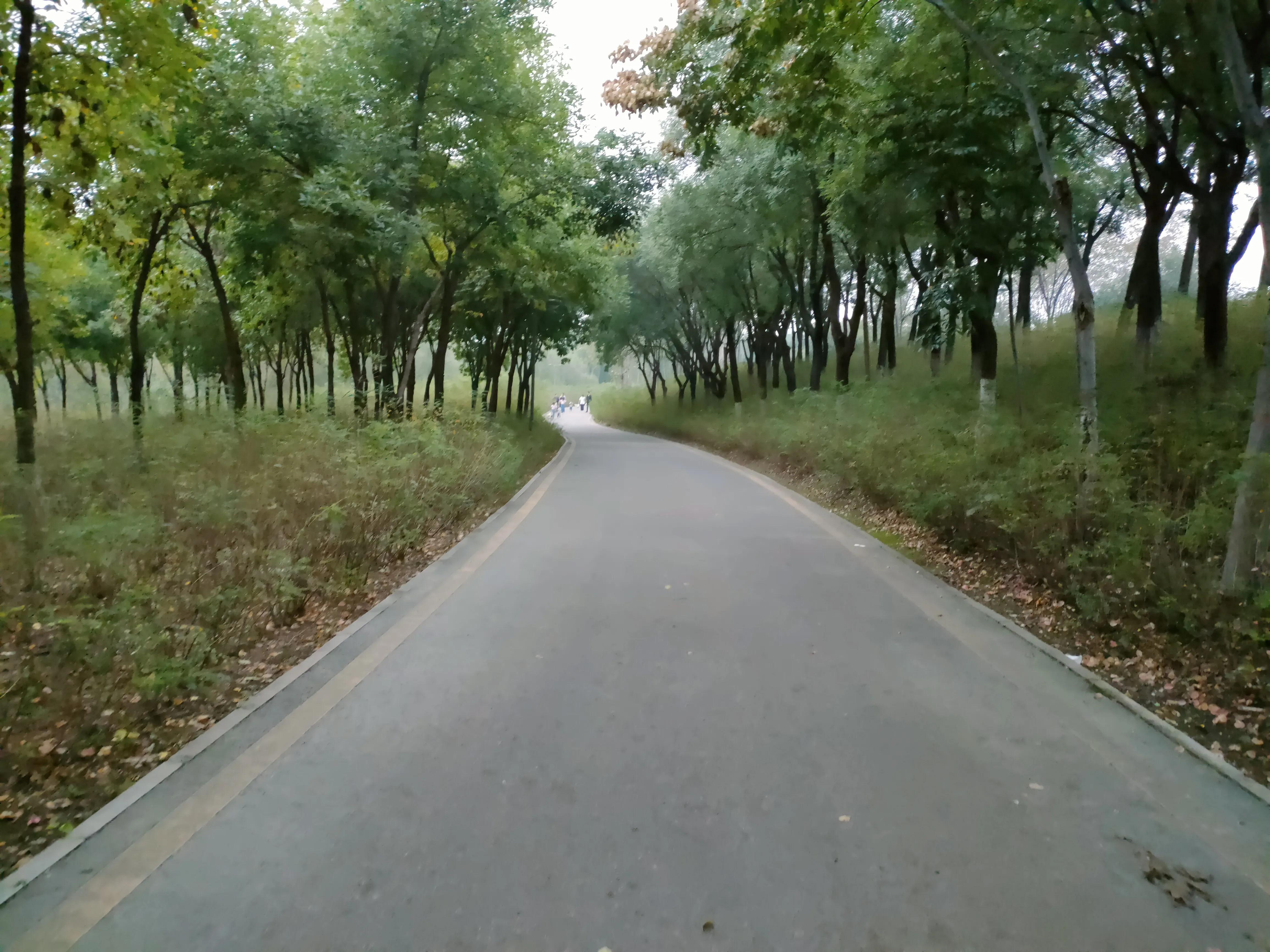 游西安曲江海洋极地公园,国庆去西安海洋极地公园