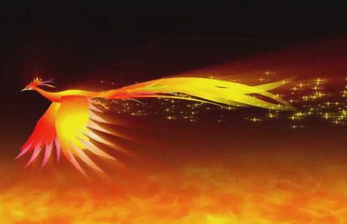 山鸡变凤凰真实吗,山鸡怎么变老大的