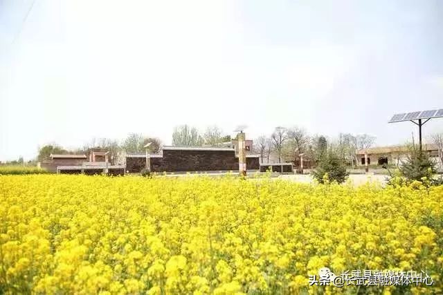 大美长武全部视频,把大好河山收藏