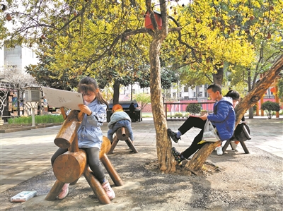 激发办学活力的“西工行动”——河南省洛阳市西工区推进教育高质量发展调研报告