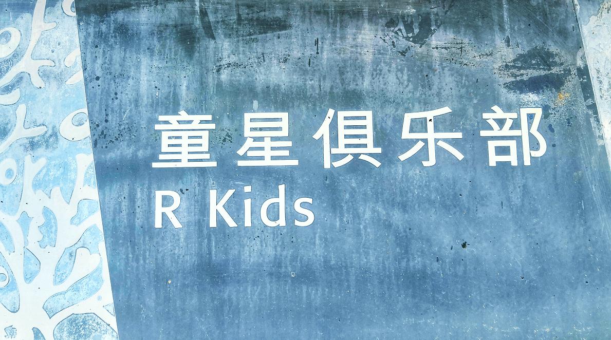 都是网红惹的祸,都是网红惹的祸完整版