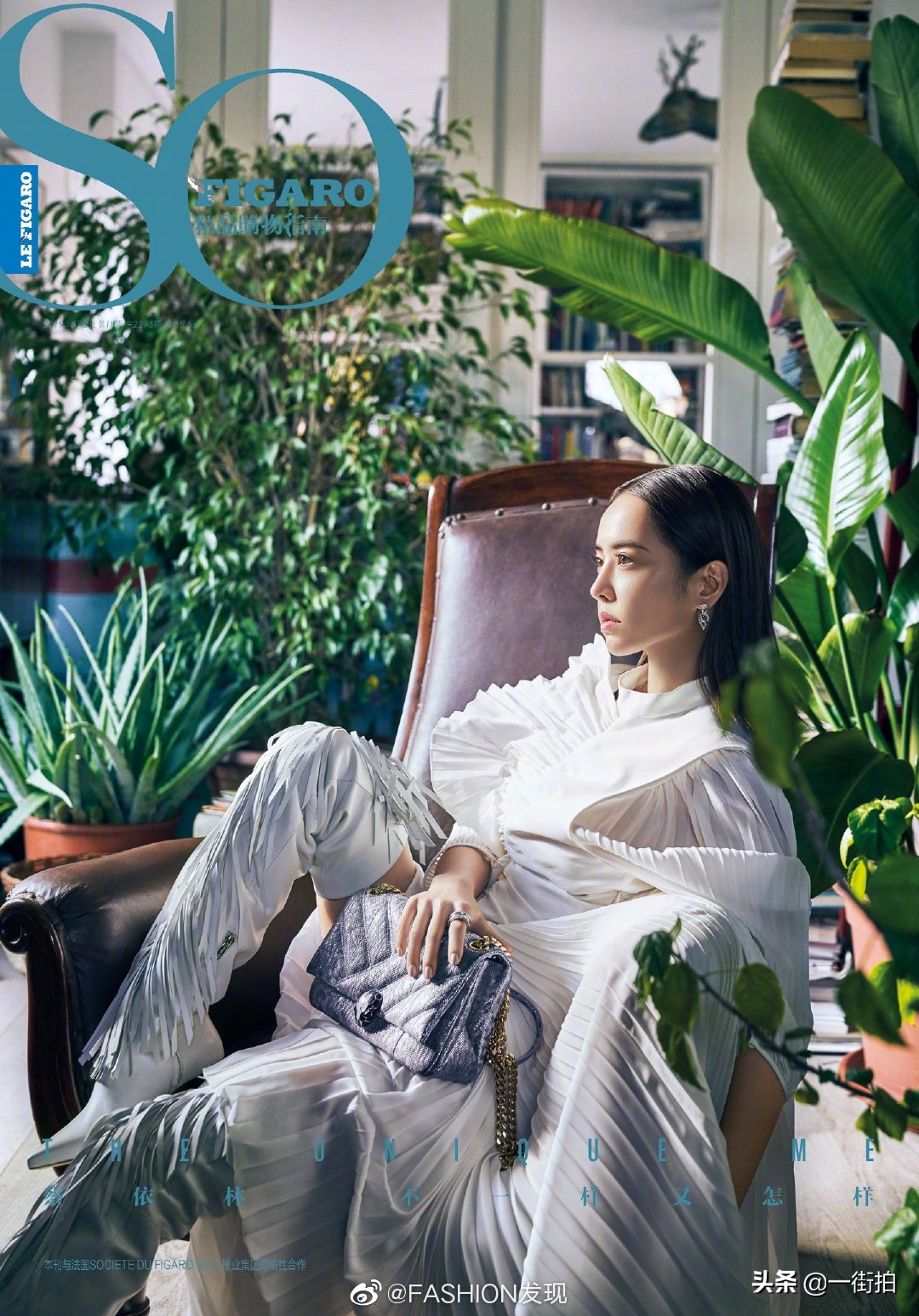 蔡依林惊艳高清大图,蔡依林彩色蕾丝裙