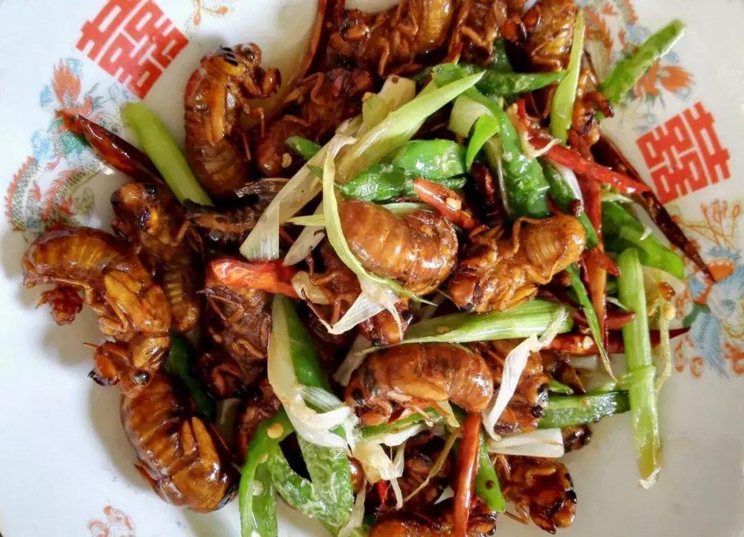 北方冬季适合吃的海鲜,北方冬天适合去的海滨小城