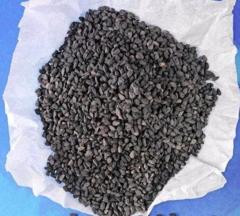 阳台种上这些菜冬天吃太美味了,阳台种菜什么菜好种