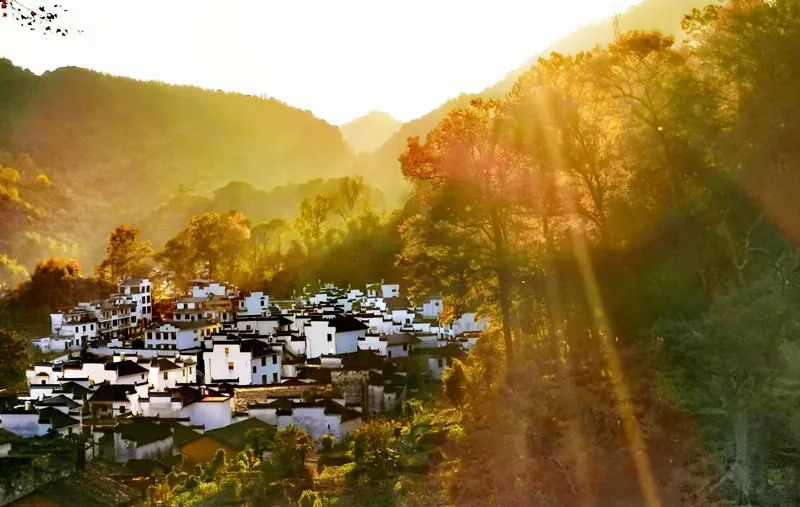 婺源市区游玩,婺源本地人攻略