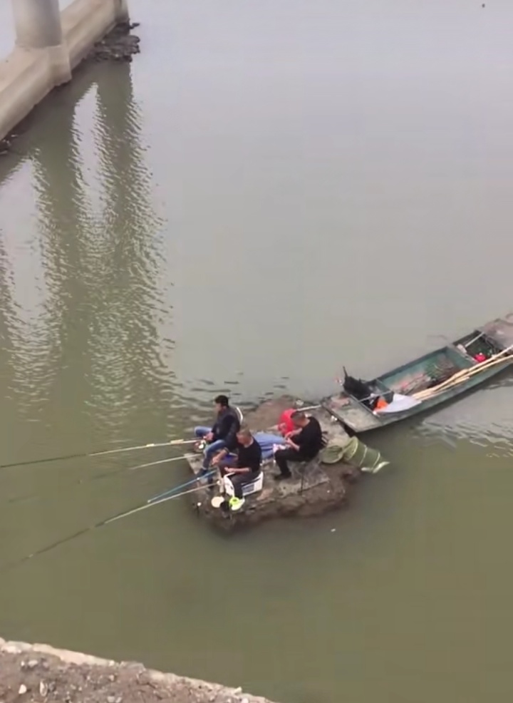 酒米多种吃法,野钓鲫鱼不停打酒米