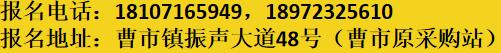 博越教育培训班,博越教育培训