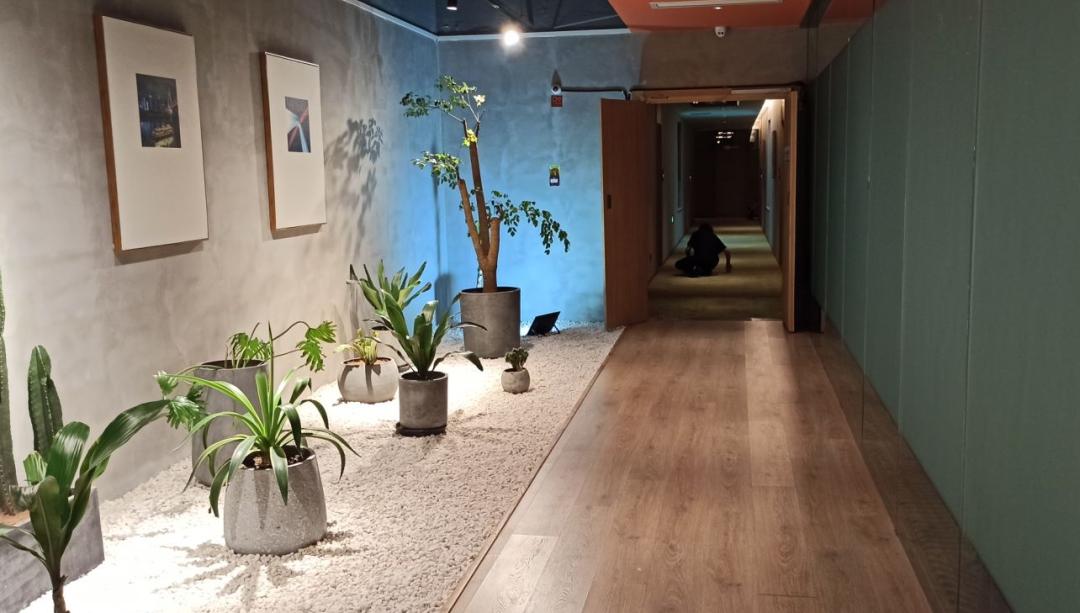 重庆房产陷阱大揭秘,重庆买小公寓被骗470万