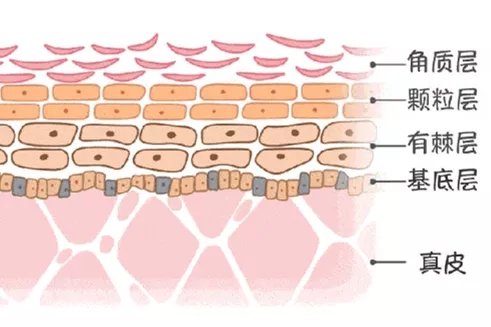 *血丝红**的自救指南，大家快来抄作业