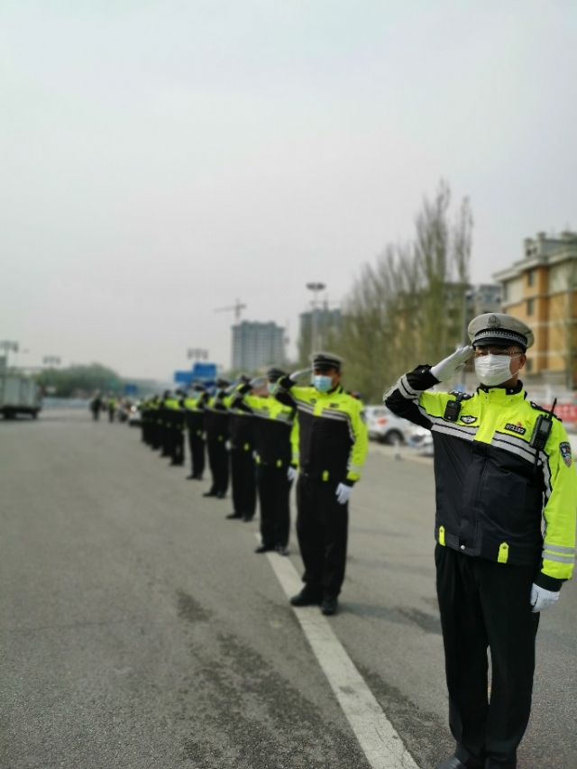 五朵金花百合,张家口市宣化5朵金花