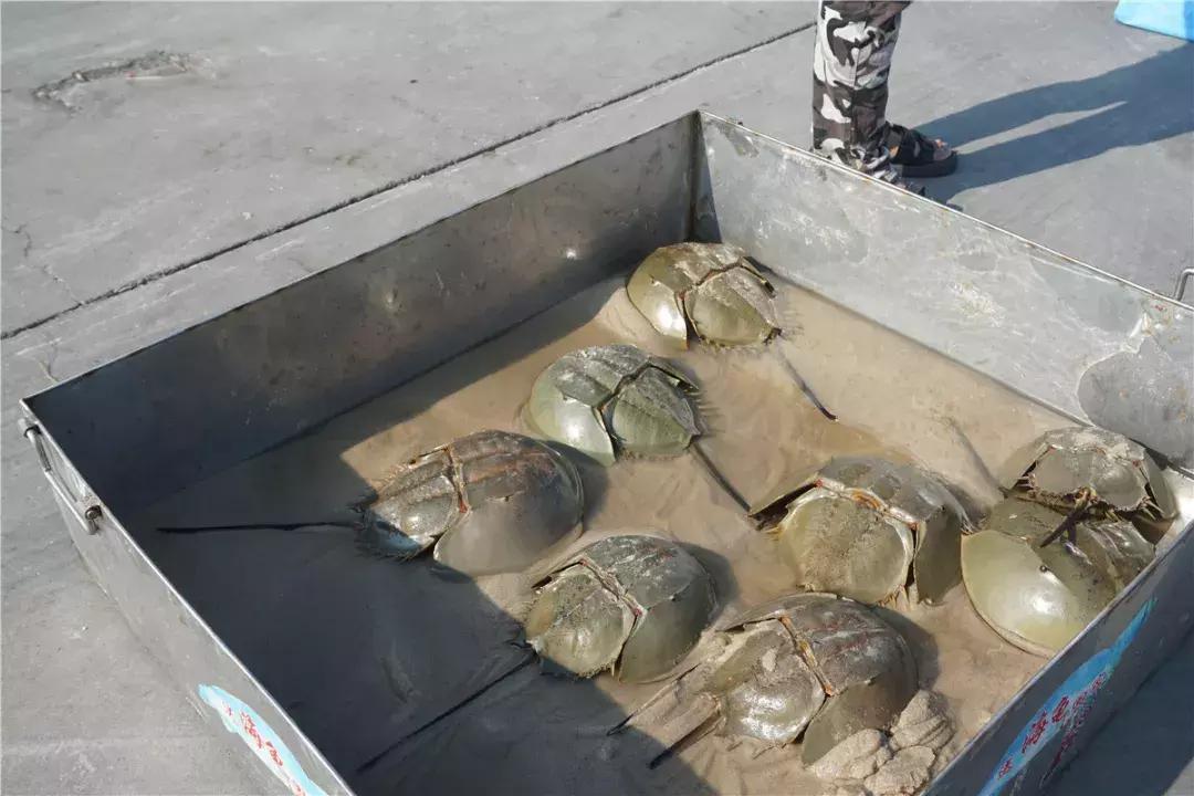 中秋你们都回家了吗,中秋都回家