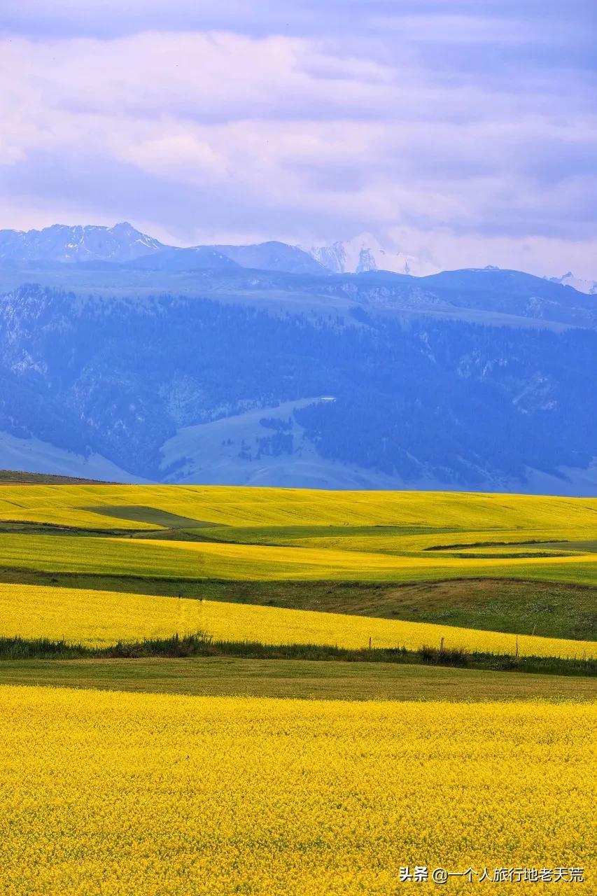 北疆自驾13天路线推荐,国内3条最美出境自驾线