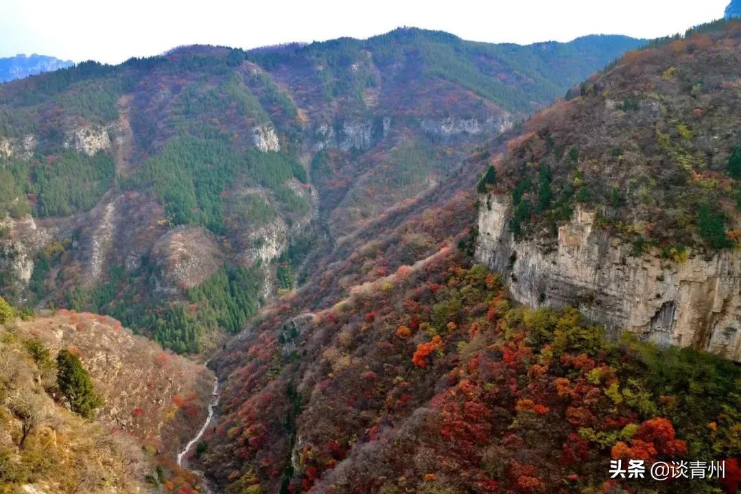 青州蜜三刀在哪,青州一个人去什么地方玩