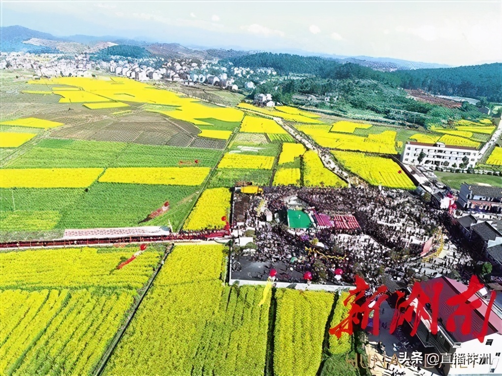 湖南日报最新新闻报道,湖南日报视频