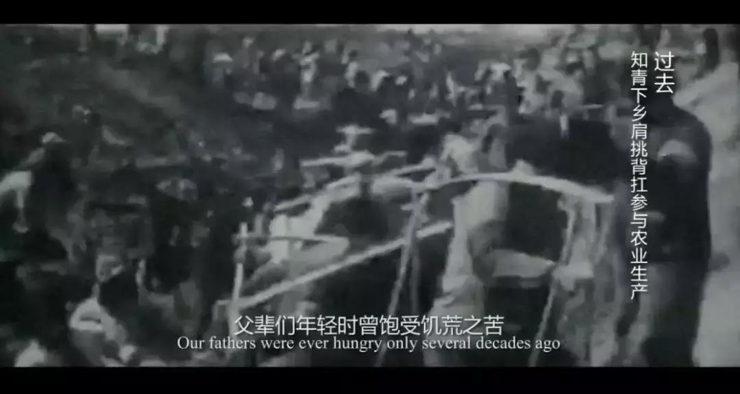 一本笔记本记录了初中生涯,一本笔记本记满童年