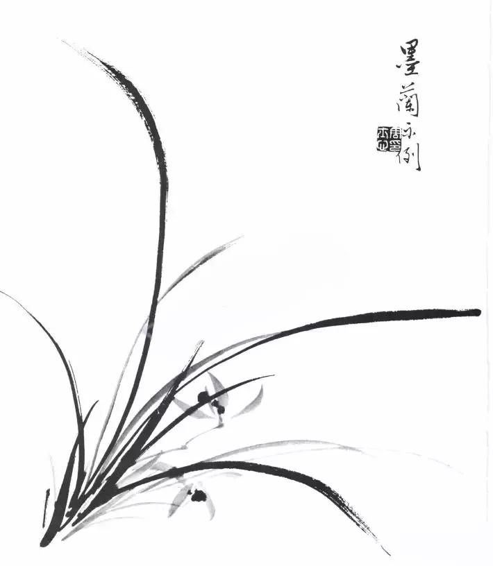 工笔兰花画法步骤详解,兰花的十种画法讲解