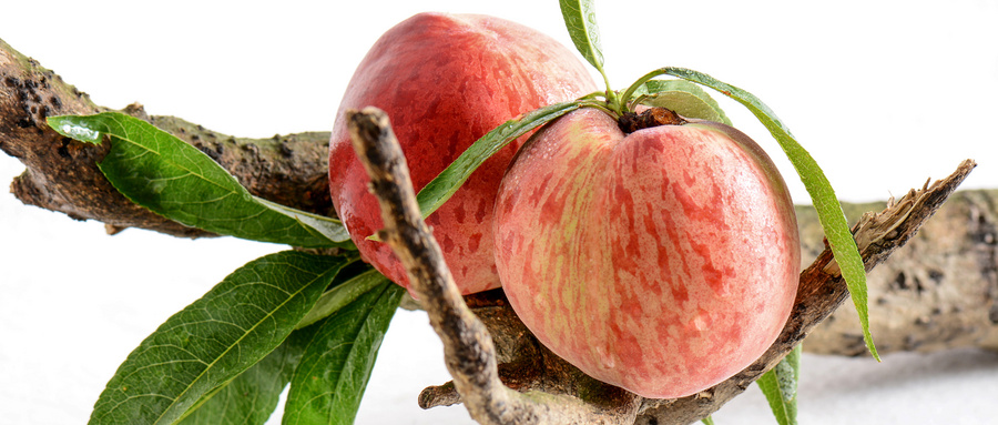 汁多肉甜的水果,糖心青苹果多肉