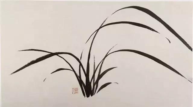 水墨怎么画兰花最好看,如何画兰花大全图片