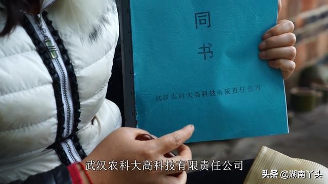 农村养殖有风险，网购30W条鱼苗被坑妹子视频曝光，卖方立马处理