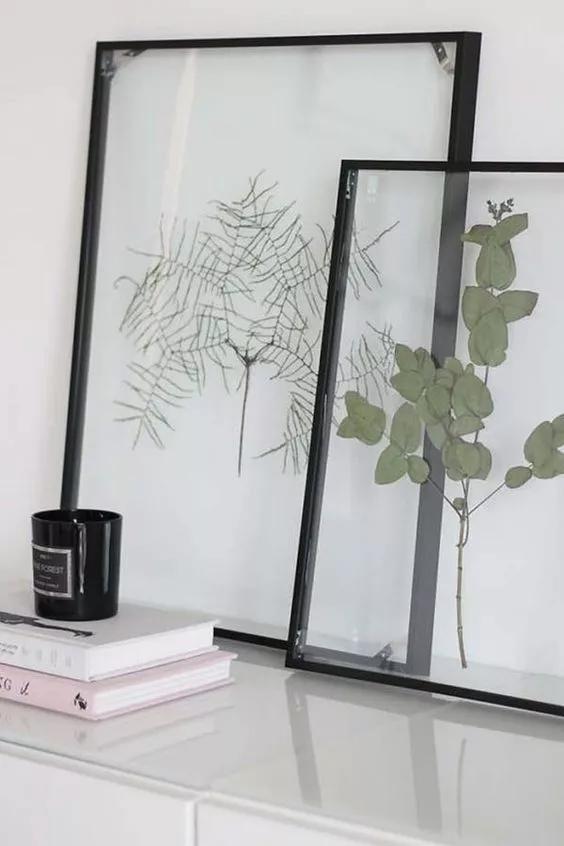 她用这种高颜值的干花装饰家里，隔壁邻居都惊叹不已