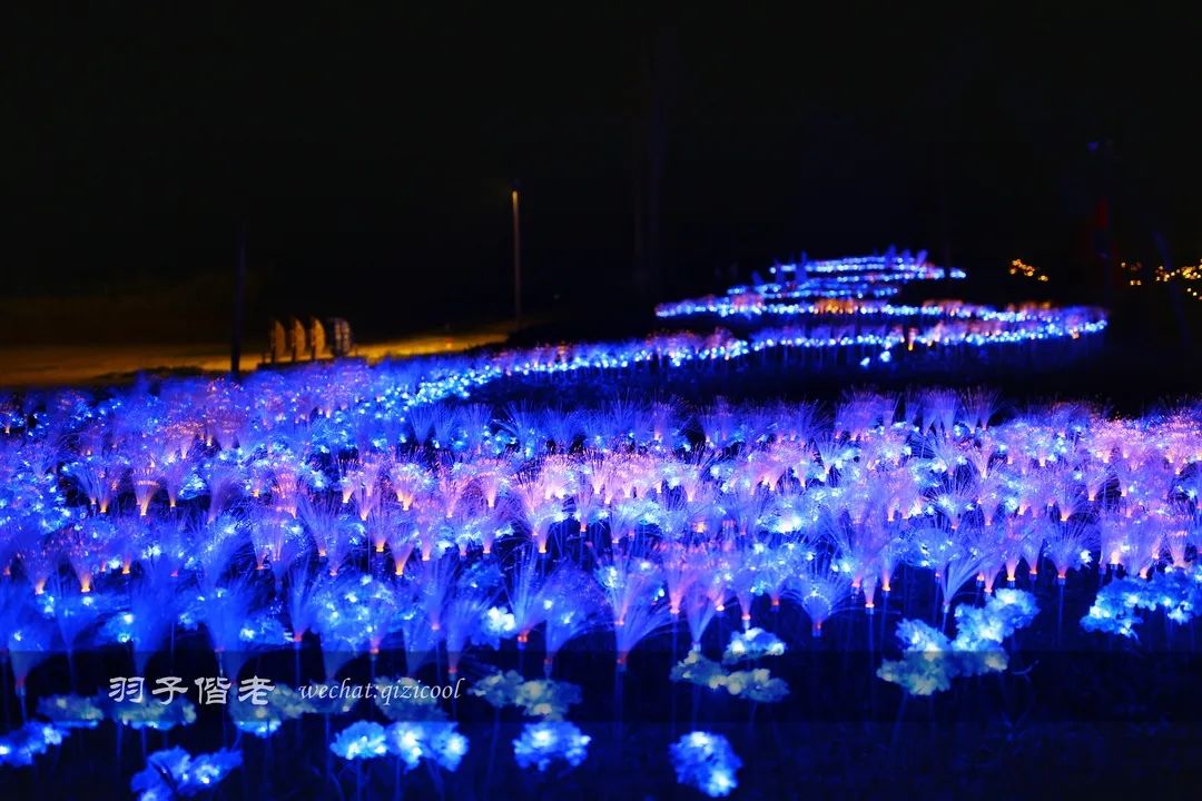 茂名最浪漫海岸在哪里,茂名浪漫海岸夕阳美如画