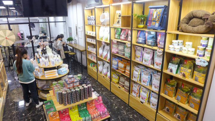 欧美风宠物店,温馨明亮的宠物店风格