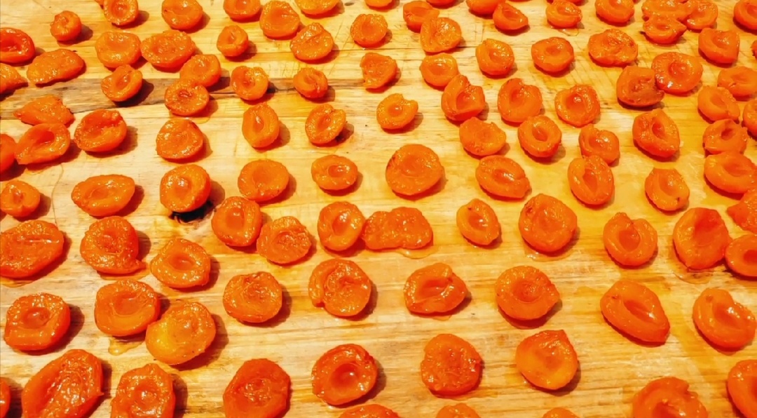 杏子做杏干的方法,四斤杏能出多少杏干