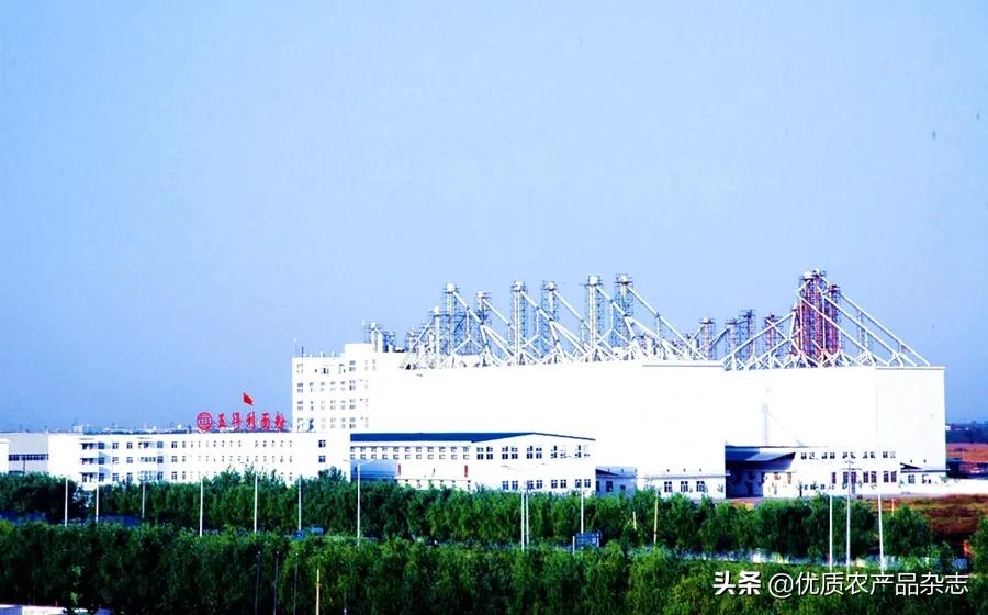 好面粉是如何加工出来的,好面粉才能做出好味道