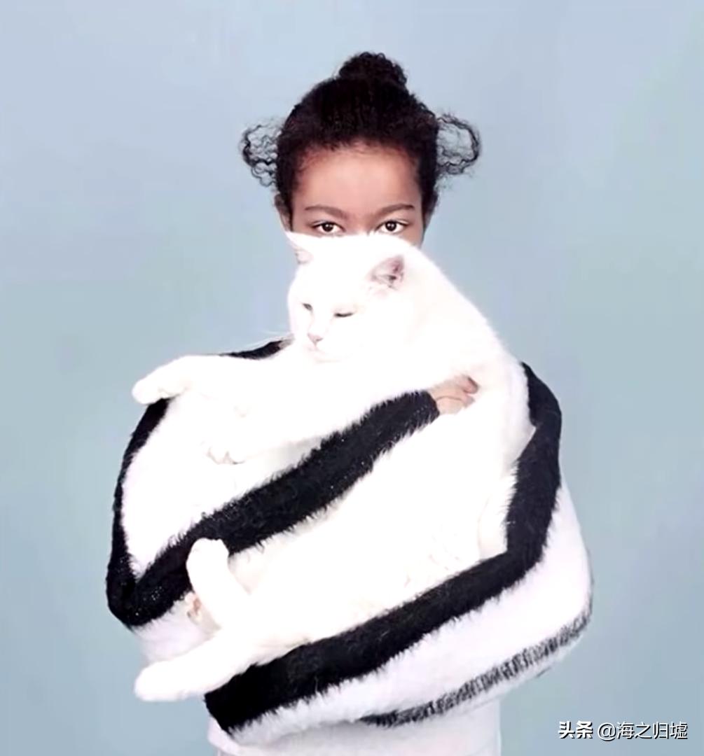 16张不可思议的巧合照片,33张不可思议的巧合照片