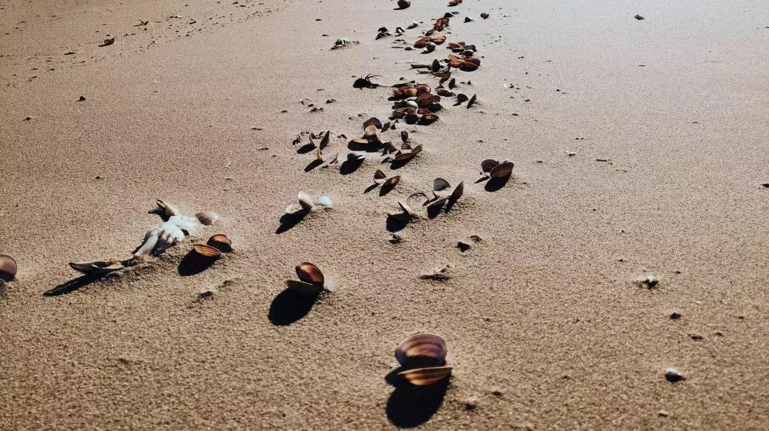 沙雕海洋乐园和渔岛哪个更值得去,沙雕海洋乐园视频