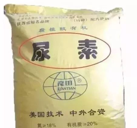 全是假的这些肥料别再买了,十大骗局最好的肥料