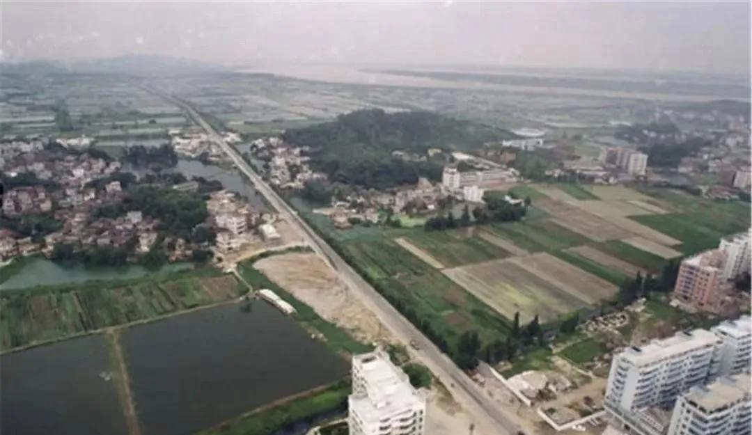 高明未来发展潜力分析,高明未来趋势