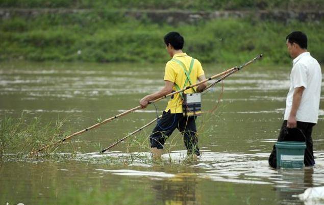 鱼也不能捕了?这三种捕鱼行为均不合规,有人已受罚,农民要注意