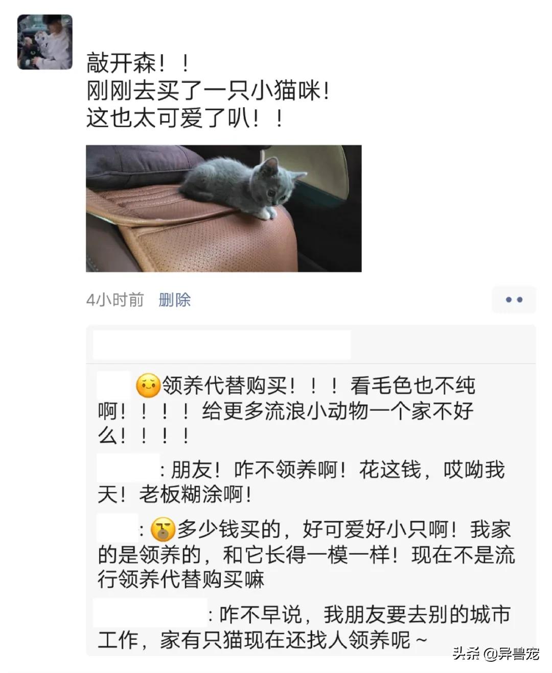 领养代替购买真的好吗？