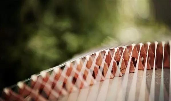 网购乐器在哪里买靠谱,网上与实体店的乐器