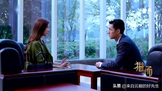 如何评价猎场这部剧,电视剧猎场口碑不佳原因解读