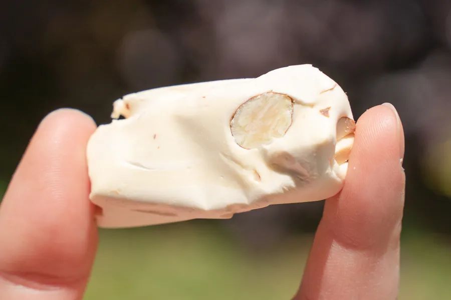 被薇娅直播间榨干零食预算后,写出了这篇测评报告(上)